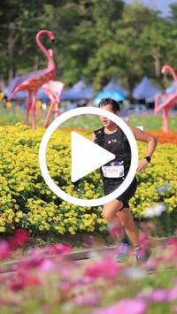 BIB:  <button type="button" onclick="openModal(27588411)" class="btn btn-primary btn-sm float-right" data-toggle="modal" data-target=".modal-high-quality">
                <i class="fa fa-download"></i> Download
                </button>